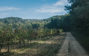 Sortie Marche Nordique du lundi 30 septembre 24 à 18H30