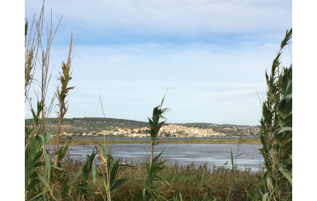 mercredi04 juin 2025